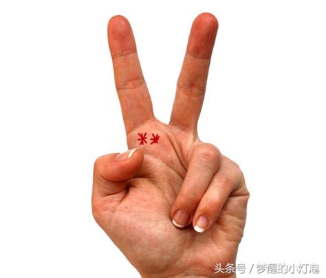香港九大大學 米字紋 星 紋